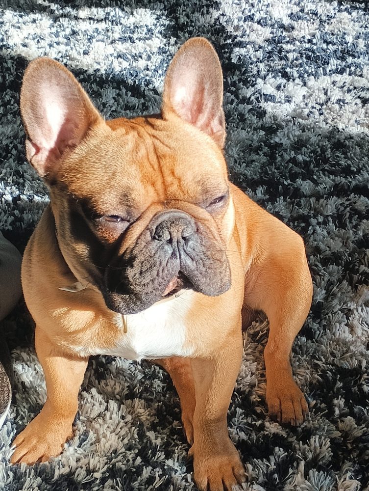 IMG_20220917_163600925